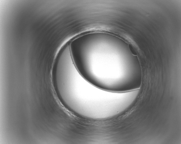 X0000066540936200603171051