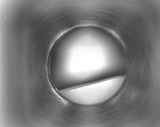 X0000066540943200603171051