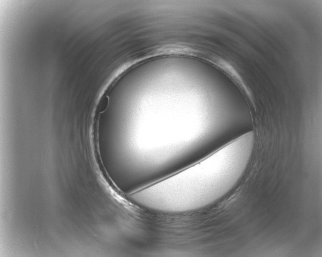 X0000066540947200603171051