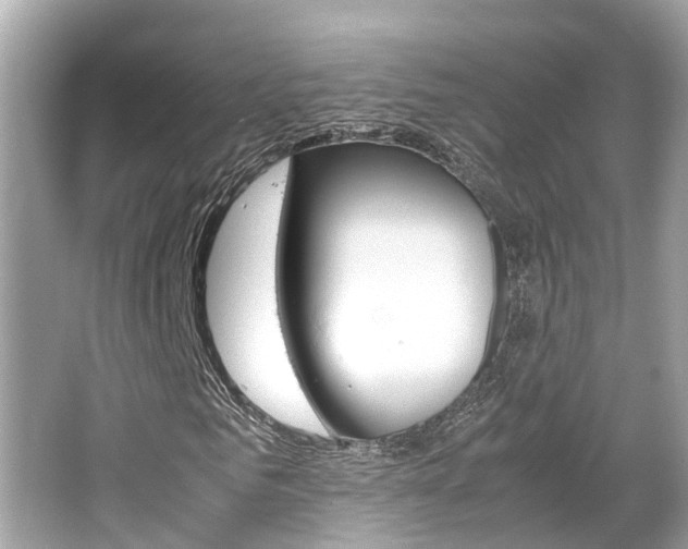 X0000066540961200603171051
