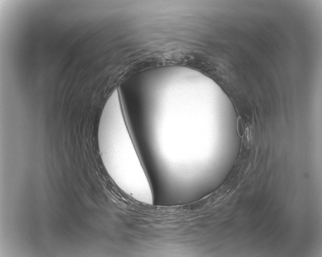 X0000066540963200603171051
