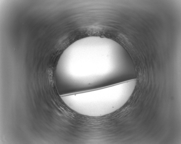 X0000066540964200603171051