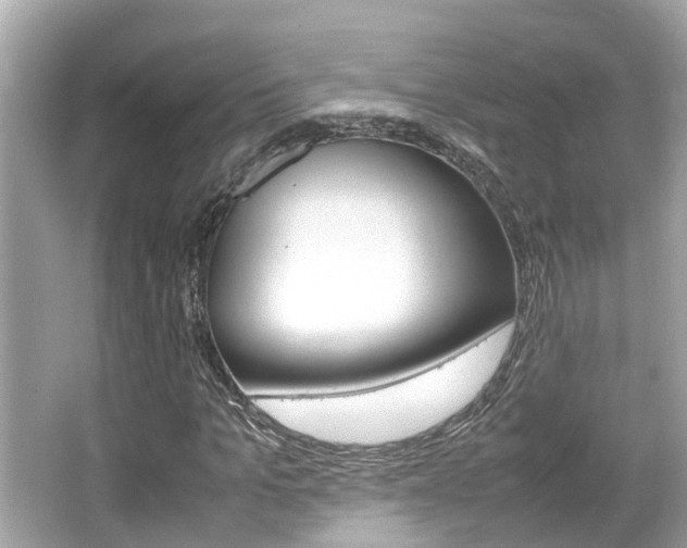 X0000066540965200603171051