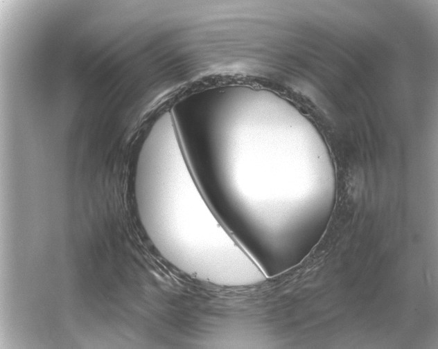 X0000066540968200603171051