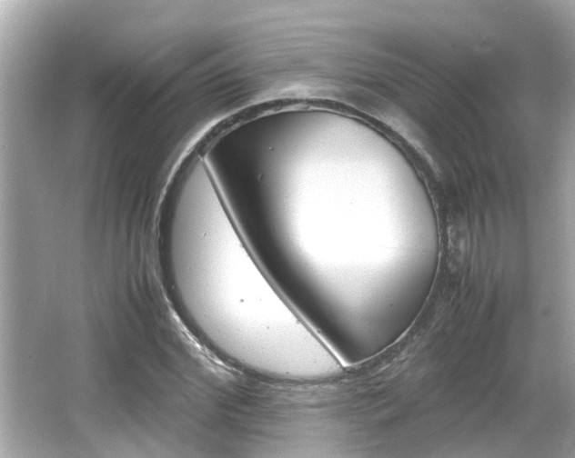 X0000066540972200603171051