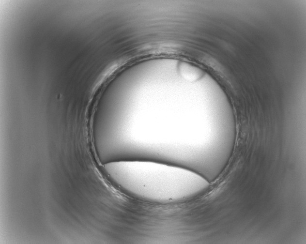 X0000066540978200603171051