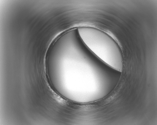 X0000066540988200603171050
