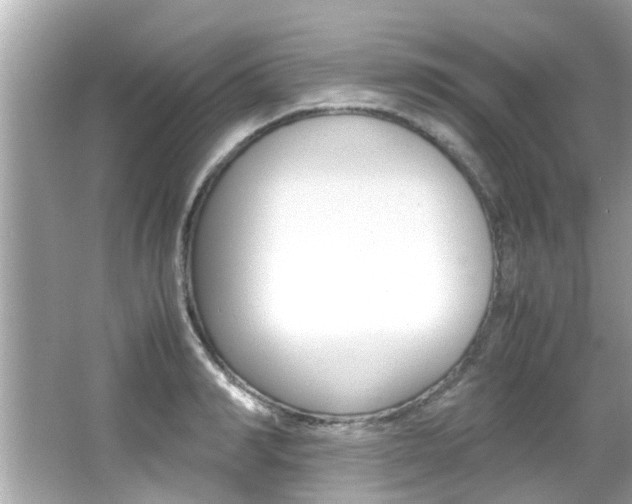 X0000066540990200603171050