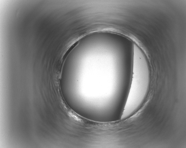 X0000066541001200603171050