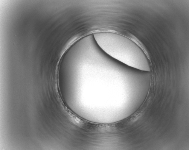 X0000066541002200603171050