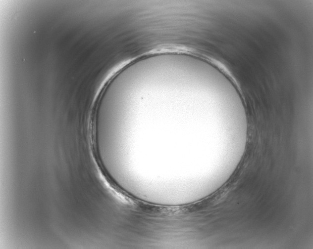 X0000066541003200603171050