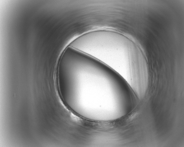 X0000066541007200603171050