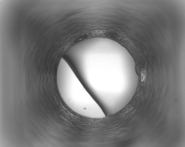 X0000066541011200603171049