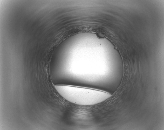 X0000066541013200603171049