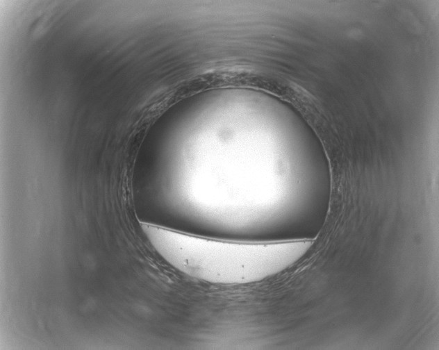 X0000066541014200603171049