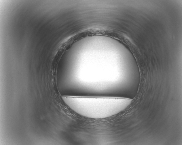 X0000066541016200603171049