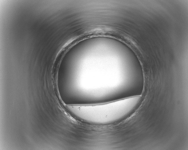 X0000066541018200603171049