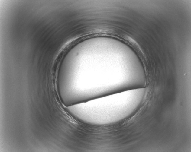 X0000066541019200603171049