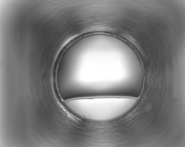 X0000066541024200603171050