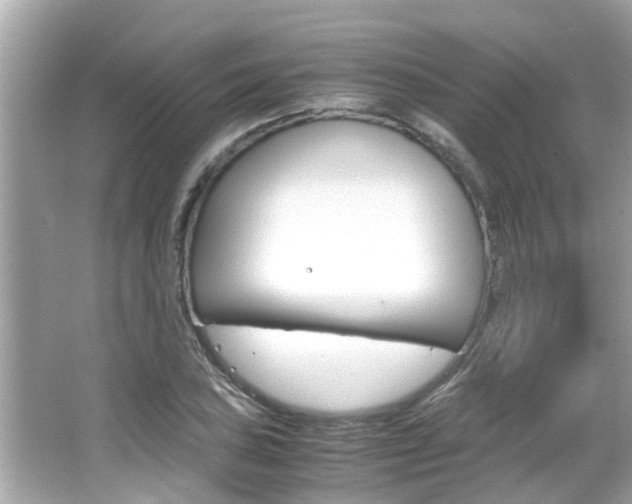 X0000066541027200603171050