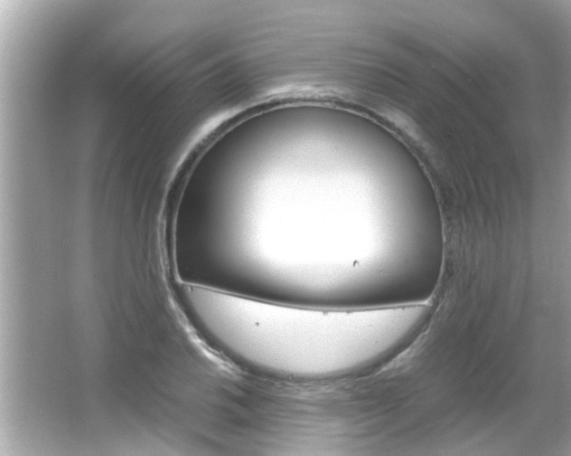 X0000066541030200603171050