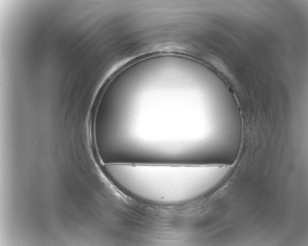 X0000066541032200603171050
