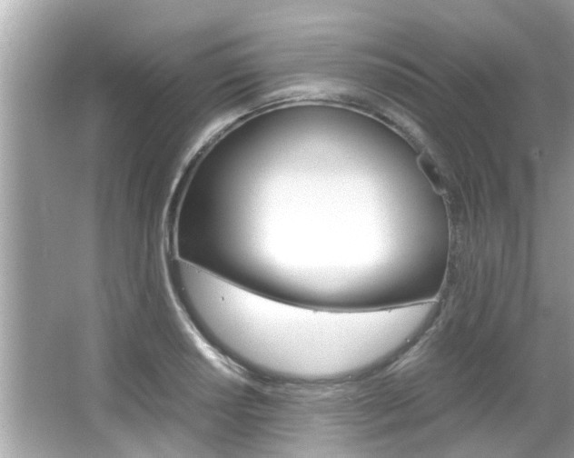 X0000066541034200603171050