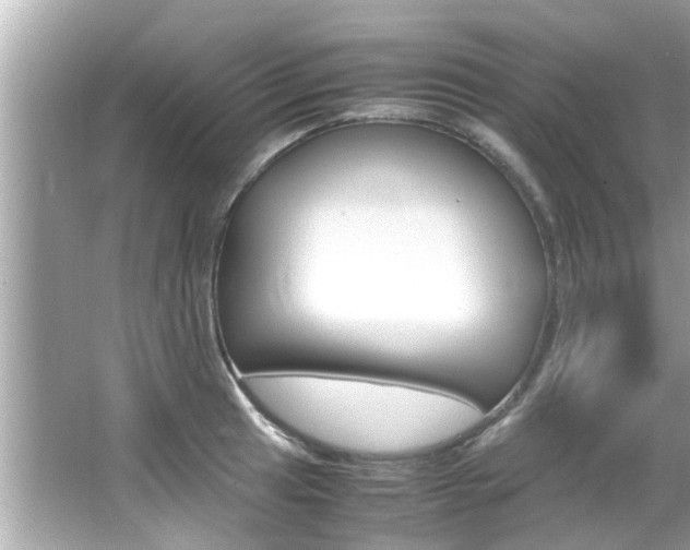X0000066541041200603171050