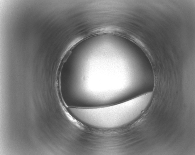 X0000066541042200603171050