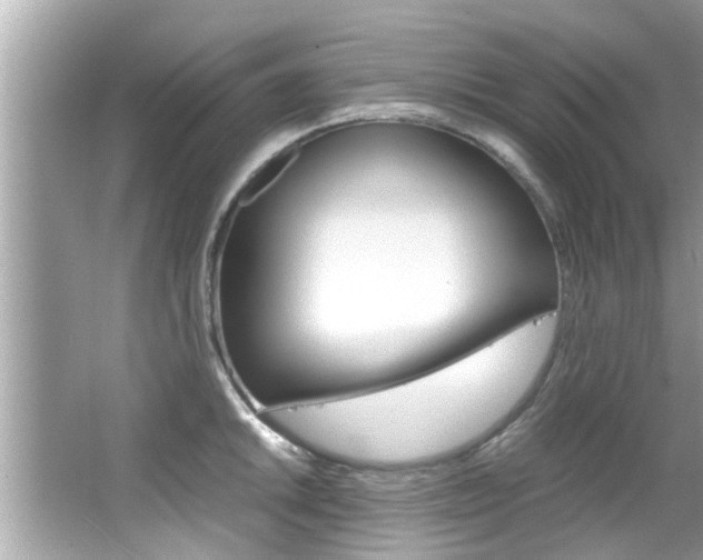 X0000066541046200603171050