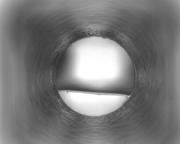 X0000066541060200603171049