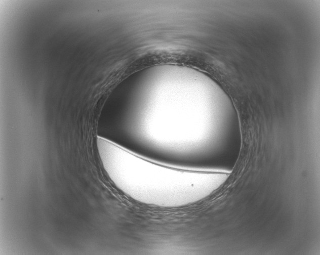 X0000066541061200603171049