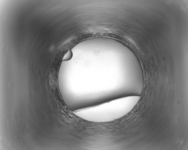 X0000066541063200603171049