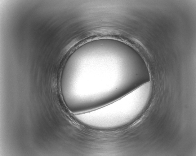 X0000066541065200603171049