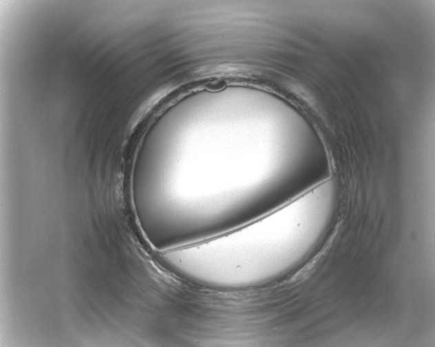 X0000066541066200603171049