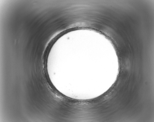 X0000066541070200603171049