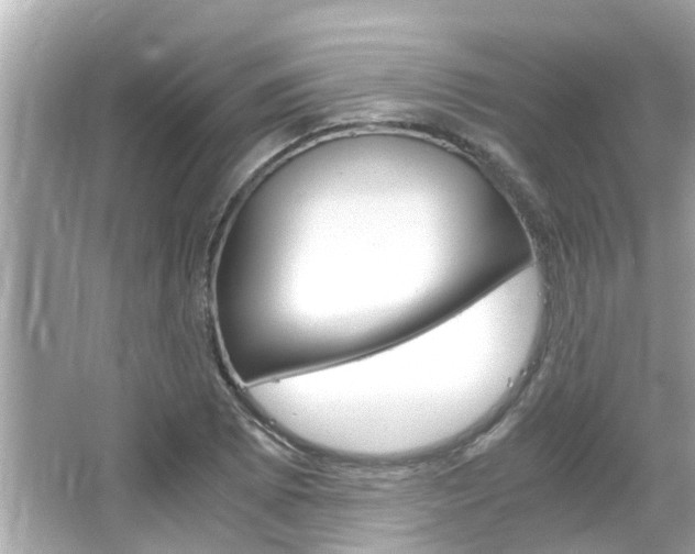 X0000066541073200603171049