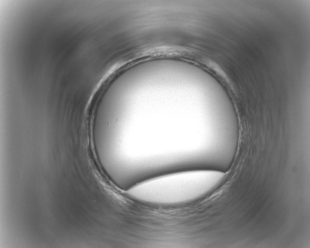 X0000066541075200603171049