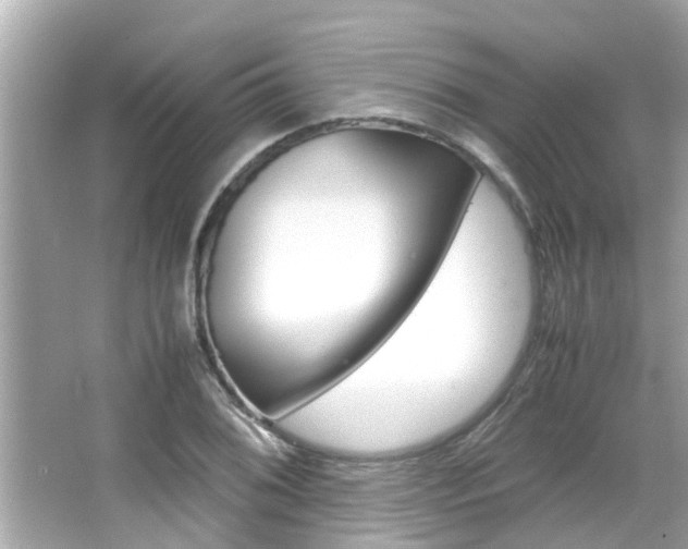 X0000066541076200603171049