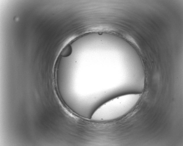 X0000066541087200603171049