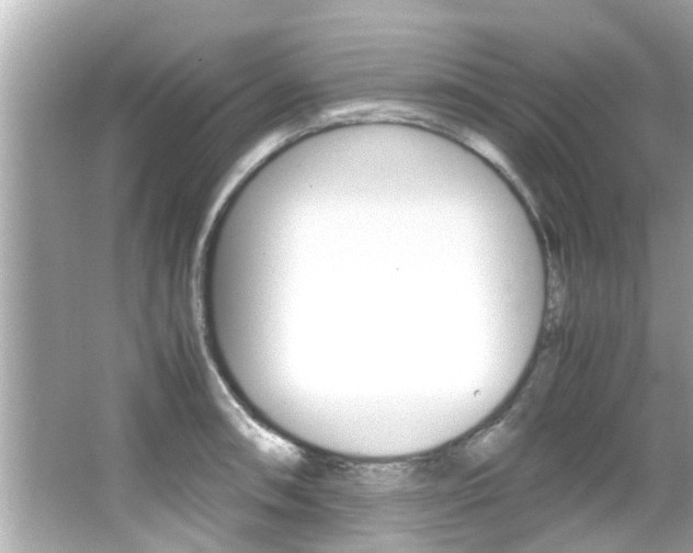 X0000066541090200603171049