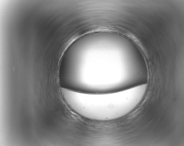 X0000066541097200603171049