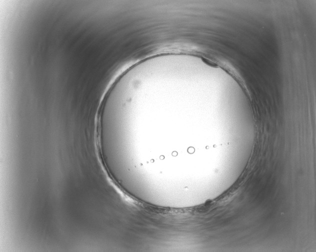 X0000066541103200603171048