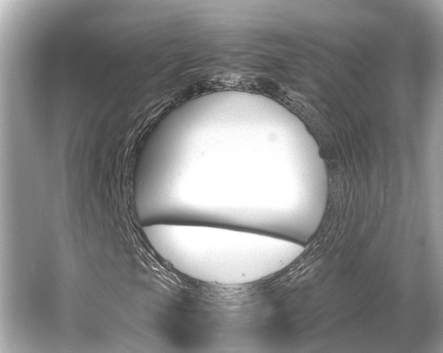X0000066541105200603171048