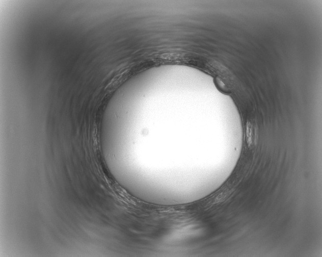 X0000066541107200603171048