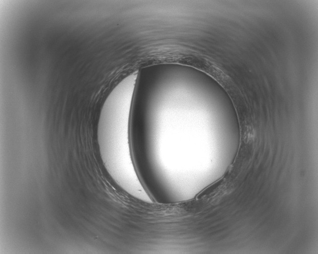 X0000066541108200603171048
