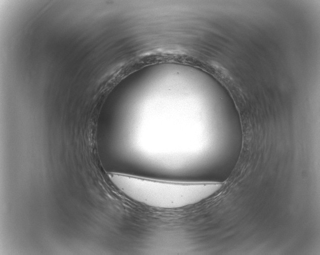 X0000066541110200603171048