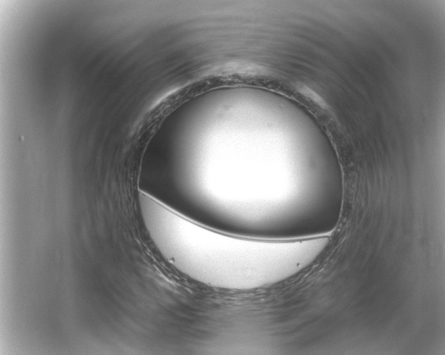 X0000066541112200603171048