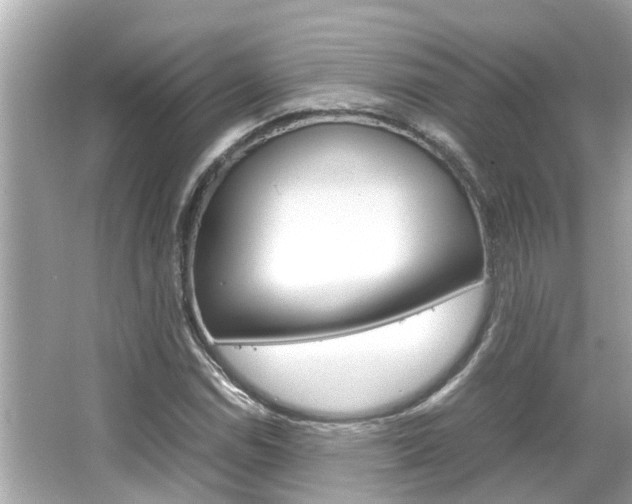 X0000066541114200603171048