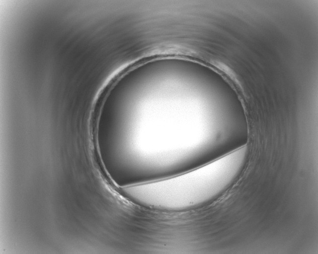 X0000066541120200603171048
